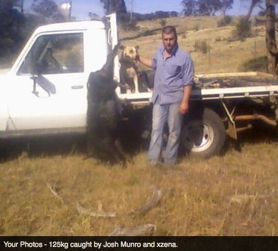 Screen Shot 2013-10-02 at 1.39.00 PM